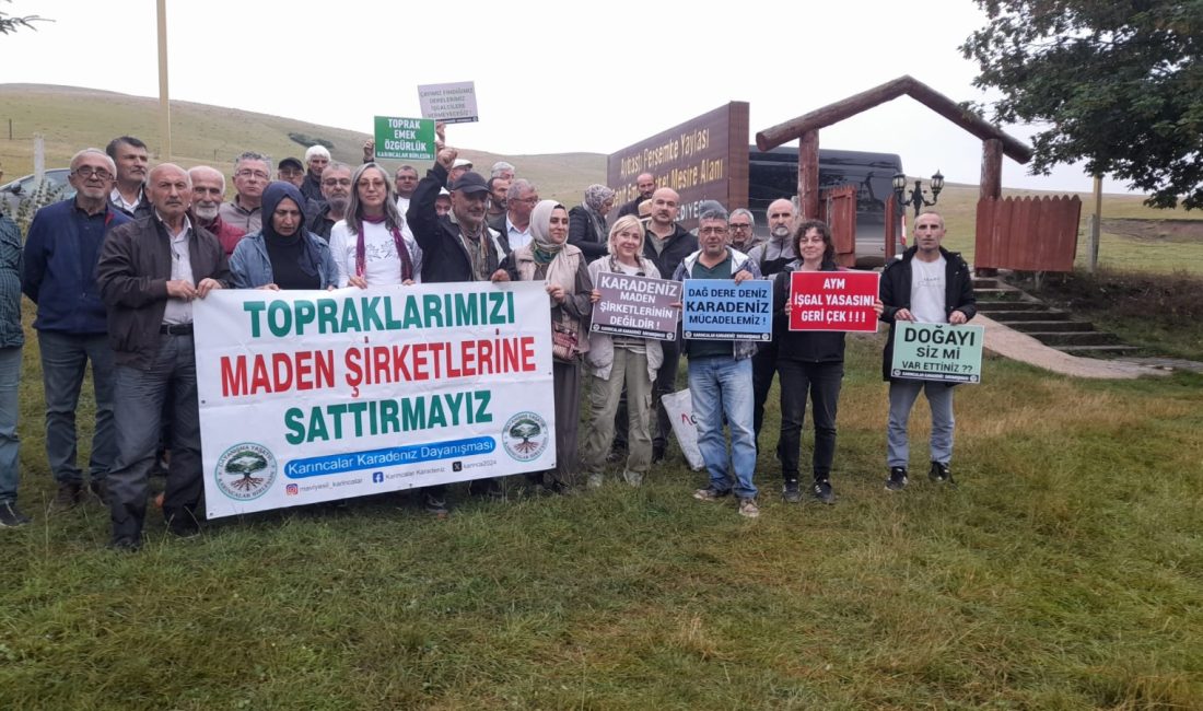KARINCALAR KARADENİZ DAYANIŞMASI YİNE YOLLARDA!  