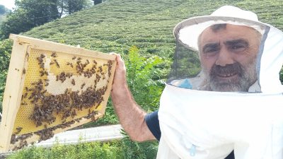 Rize’nin Kalkandere ilçesinde arıların yaptığı petek, görenleri şaşkına çevirdi. Arıların
