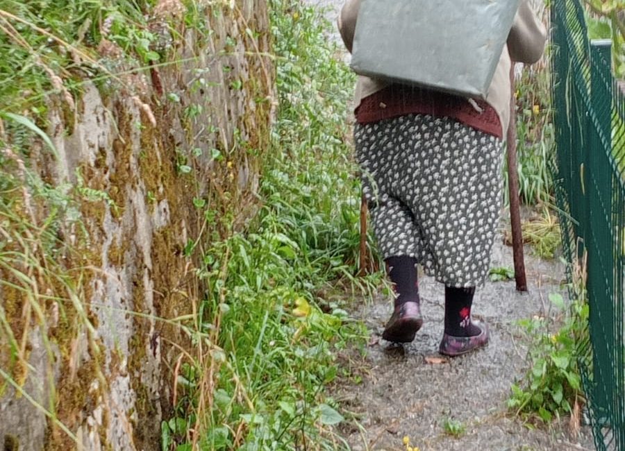 Rize’nin Çayeli ilçesine bağlı Çataldere köyü Sırt Mahallesi sakinleri, yaklaşık