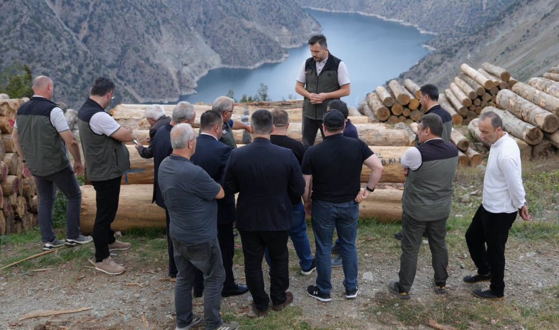 Gürcistan Acara Özerk Cumhuriyeti Heyetinden Artvin Orman Bölge Müdürlüğüne Çalışma