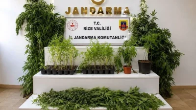 Rize İl Jandarma Komutanlığı ekiplerince Ağustos ayı boyunca gerçekleştirilen operasyonlarda