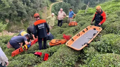 Rize’nin Ardeşen ilçesinde çaylık arazide çalışma yaptığı sırada dengesini kaybederek