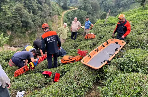 Rize’nin Ardeşen ilçesinde çaylık arazide çalışma yaptığı sırada dengesini kaybederek