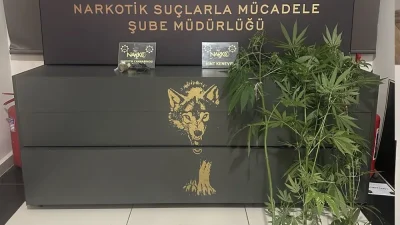 Rize Emniyet Müdürlüğü ekiplerinin uyuşturucu ve uyarıcı madde ticaretine yönelik