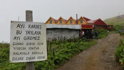 Rize’nin Çamlıhemşin ilçesinde, ayıların evlere verdiği zarardan bıkan bir vatandaş,