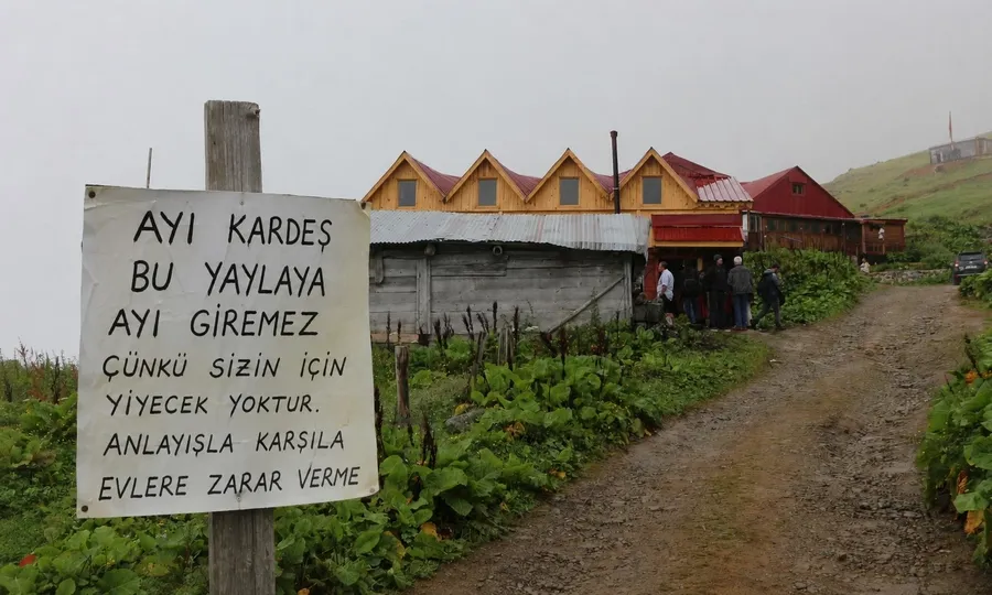 Rize’nin Çamlıhemşin ilçesinde, ayıların evlere verdiği zarardan bıkan bir vatandaş,