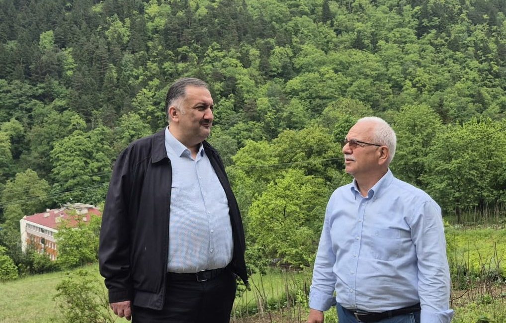 DEVA Parti Genel Başkan Yardımcısı İstanbul Milletvekili Hasan Karal ülke