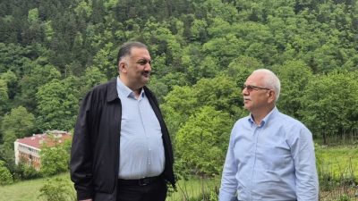 DEVA Parti Genel Başkan Yardımcısı İstanbul Milletvekili Hasan Karal ülke
