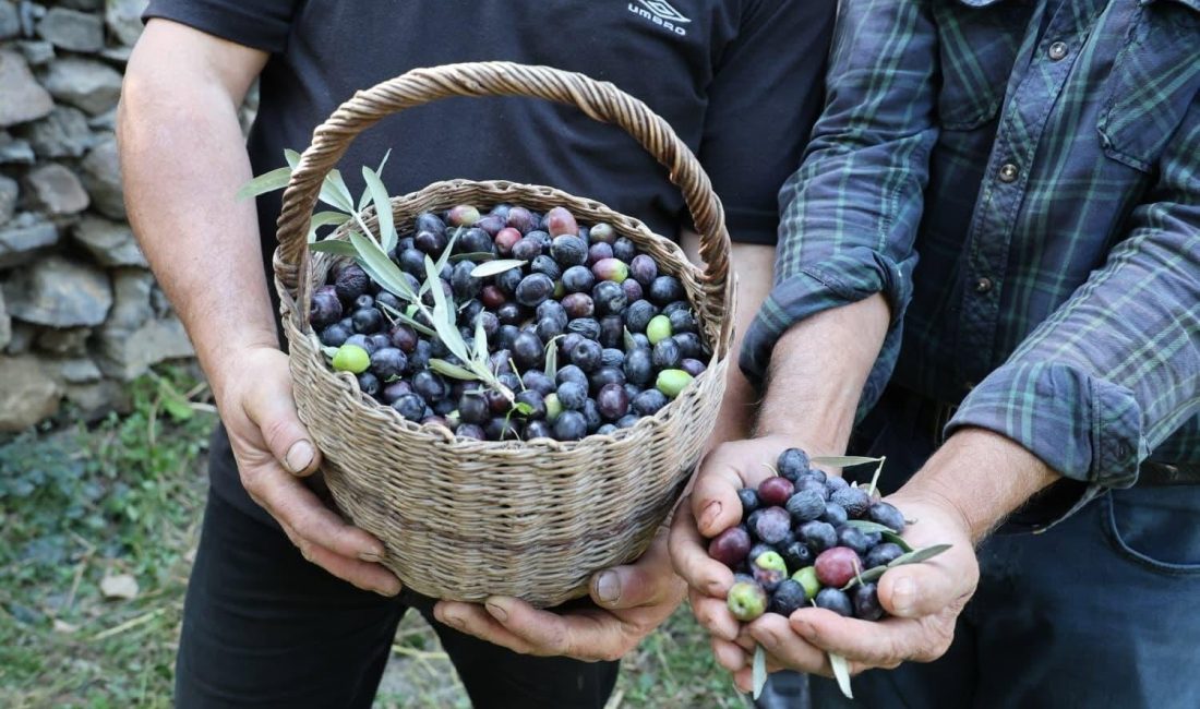 Artvin Valisi Dr. Turan Ergün’ün katılımıyla Yusufeli ilçesine bağlı Yağcılar