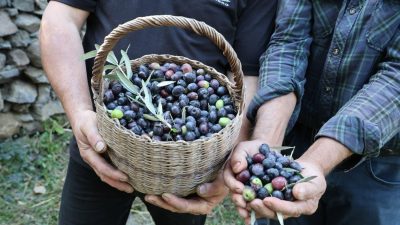 Artvin Valisi Dr. Turan Ergün’ün katılımıyla Yusufeli ilçesine bağlı Yağcılar