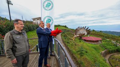 Rize’de yaralı halde bulunan ve tedavi edilerek yeniden doğal yaşamına
