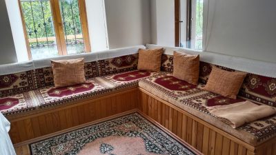 Fethi KARADENİZ Emekli Eğitim Müfettişi Bazen hayvanların bildiğini insan aklı