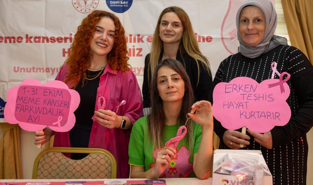 Çayeli İlçe Sağlık Müdürlüğü, Çayeli Bakır İşletmeleri A.Ş., Madenli Belediyesi